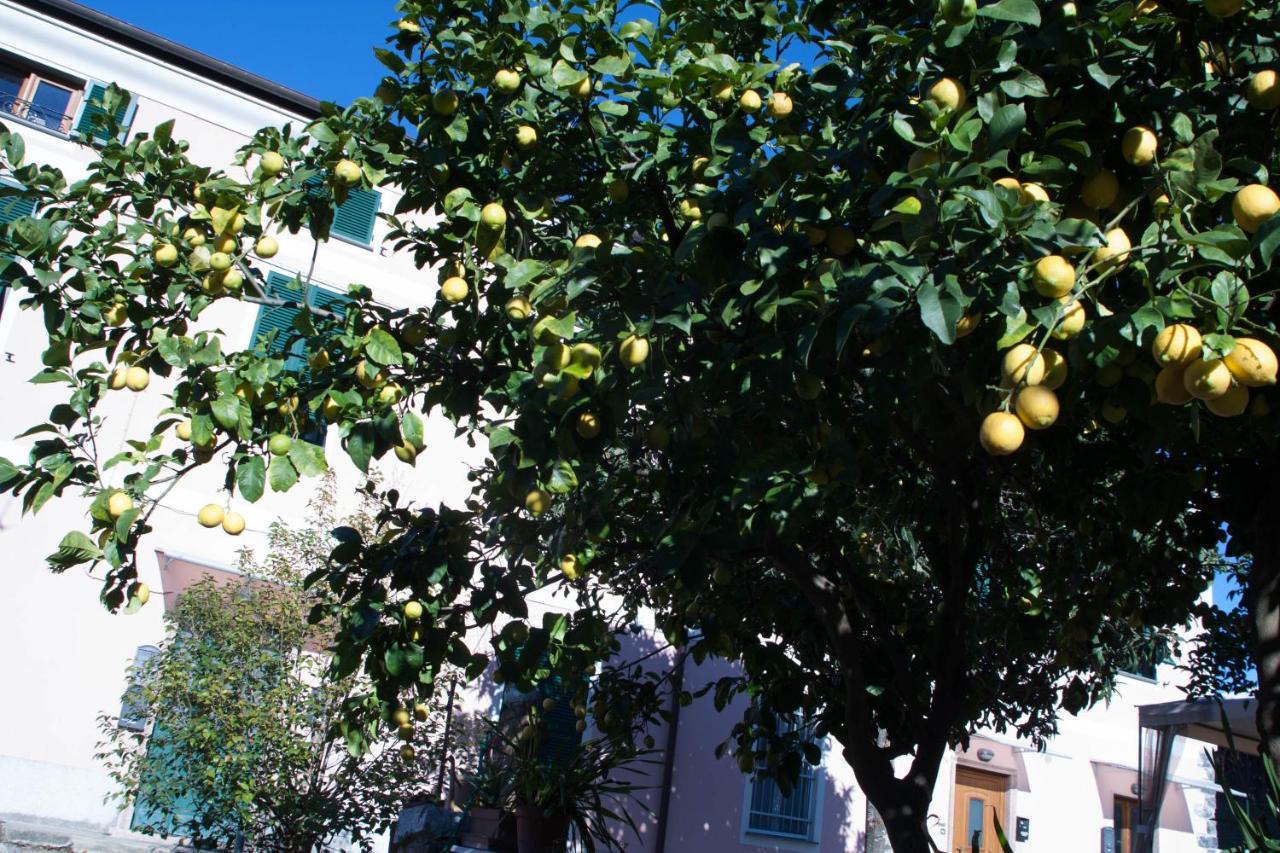 Appartamento sole&mare Levanto Esterno foto